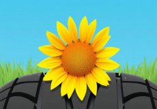 Гонка за сцеплением: летние шины с усиленным брекером для уверенного вождения