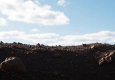 Как выбрать шины для кроссовера: где найти золотую середину между мягкостью и проходимостью